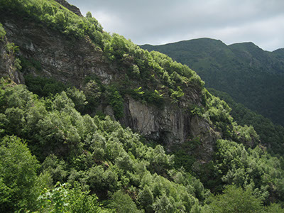 IMG_8054